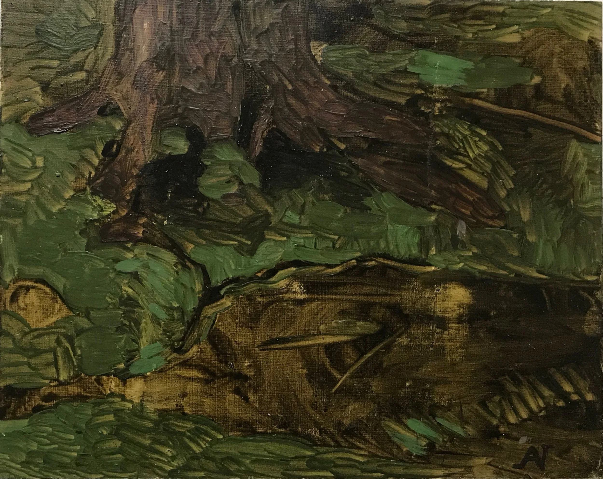 Skogskisse 20x25 cm olje på plate