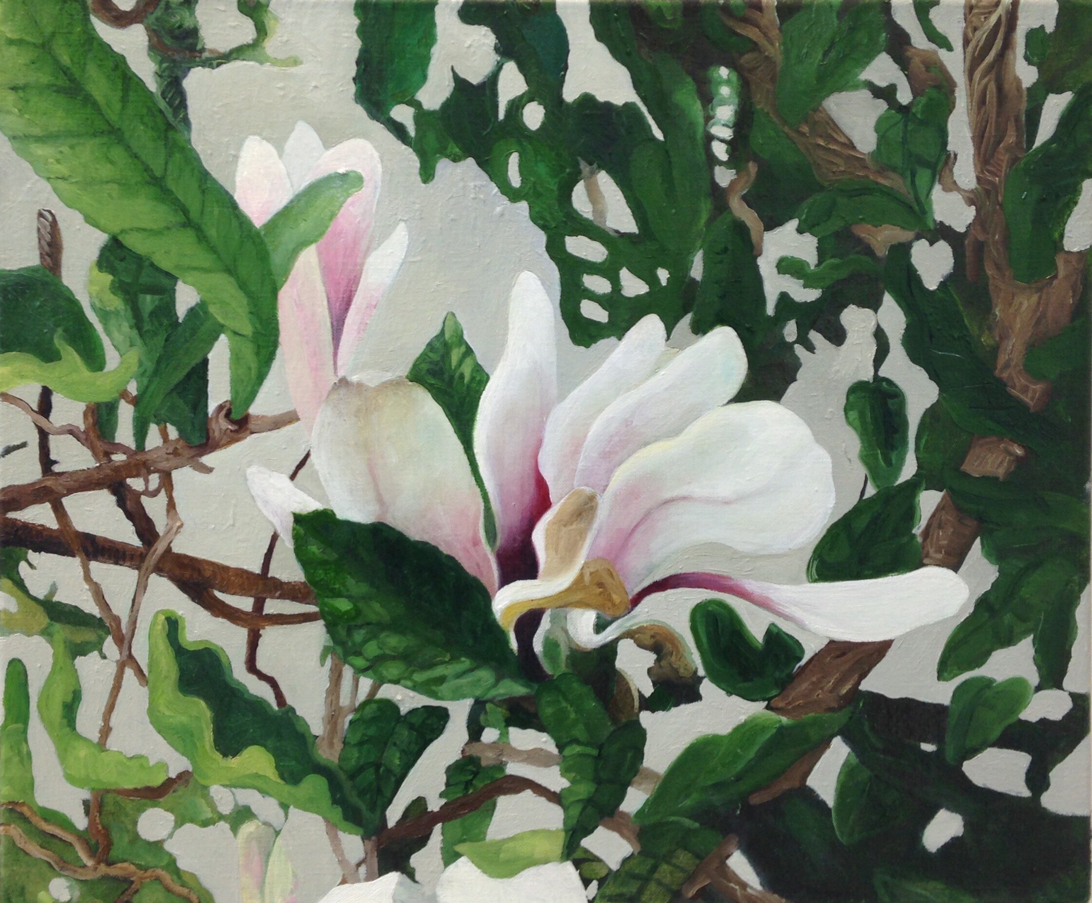 "Magnolia" 