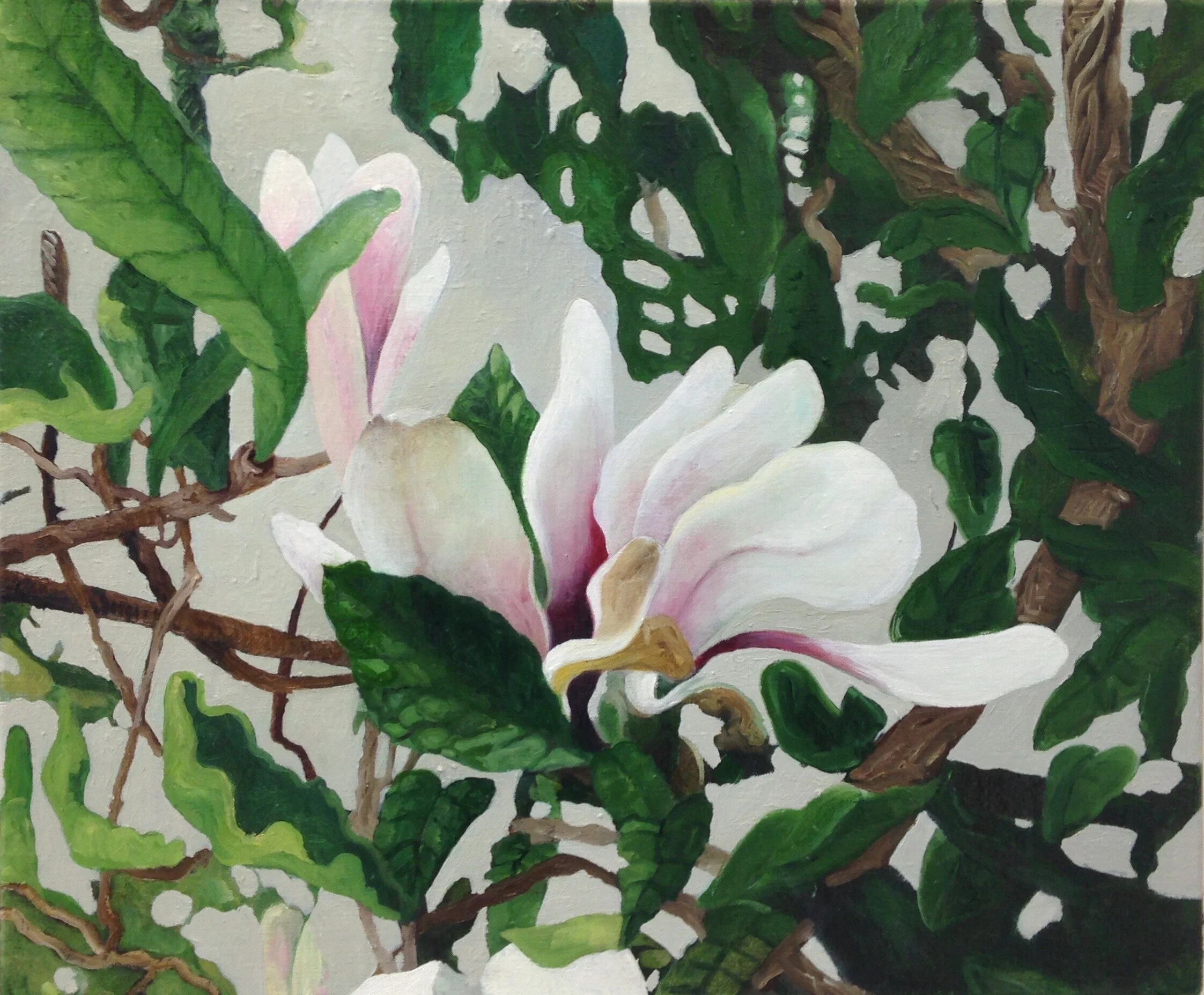 "Magnolia"