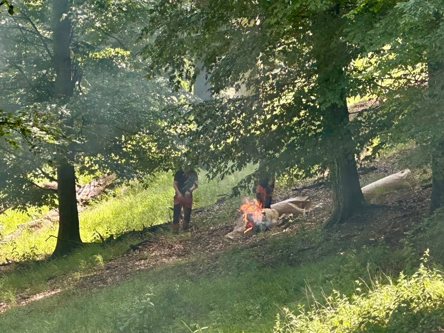 Kontrolovany lesni pozar pod dozorem hasicu.jpg