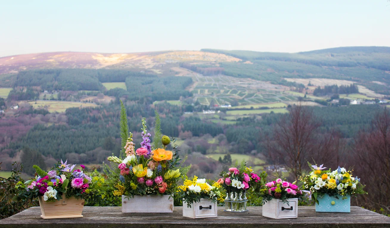 Some of our new Spring Goddesses on location in the stunning Wicklow Mountains.