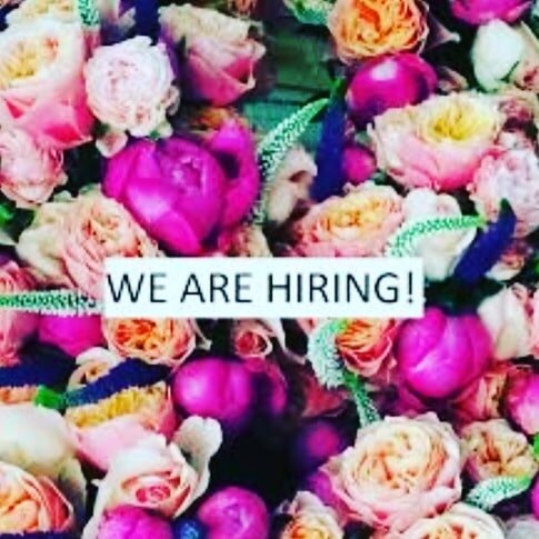 We are currently looking for 2 people 1 part-time and 1 full-time florists to join our team.
If you would like to send your cv to flowers@flowerbox.ie or call us on 016609470..
#dublinfloristwanted
#dublinflorist 
#jobvacancydublin