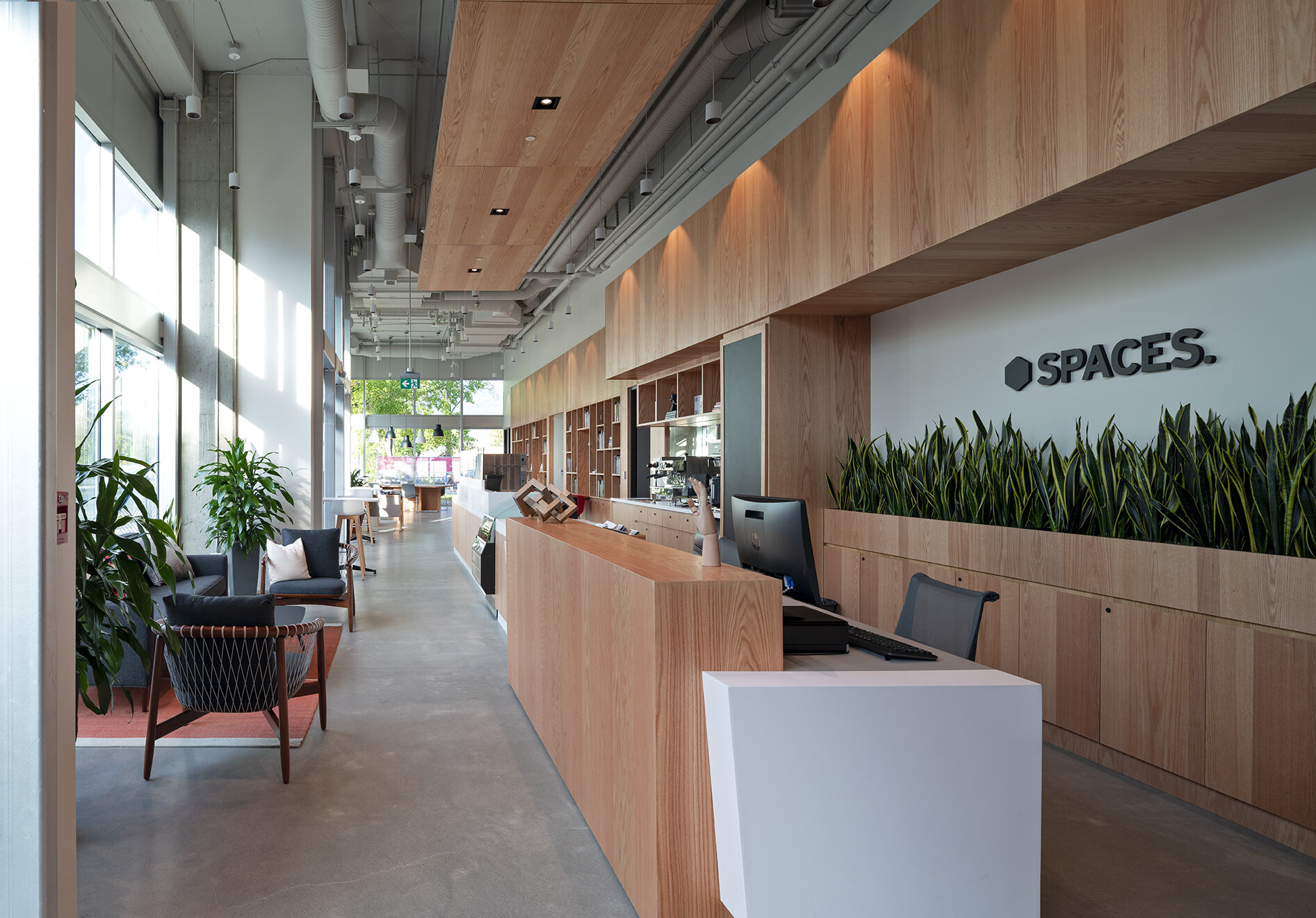 Shoot from reception.social.jpg