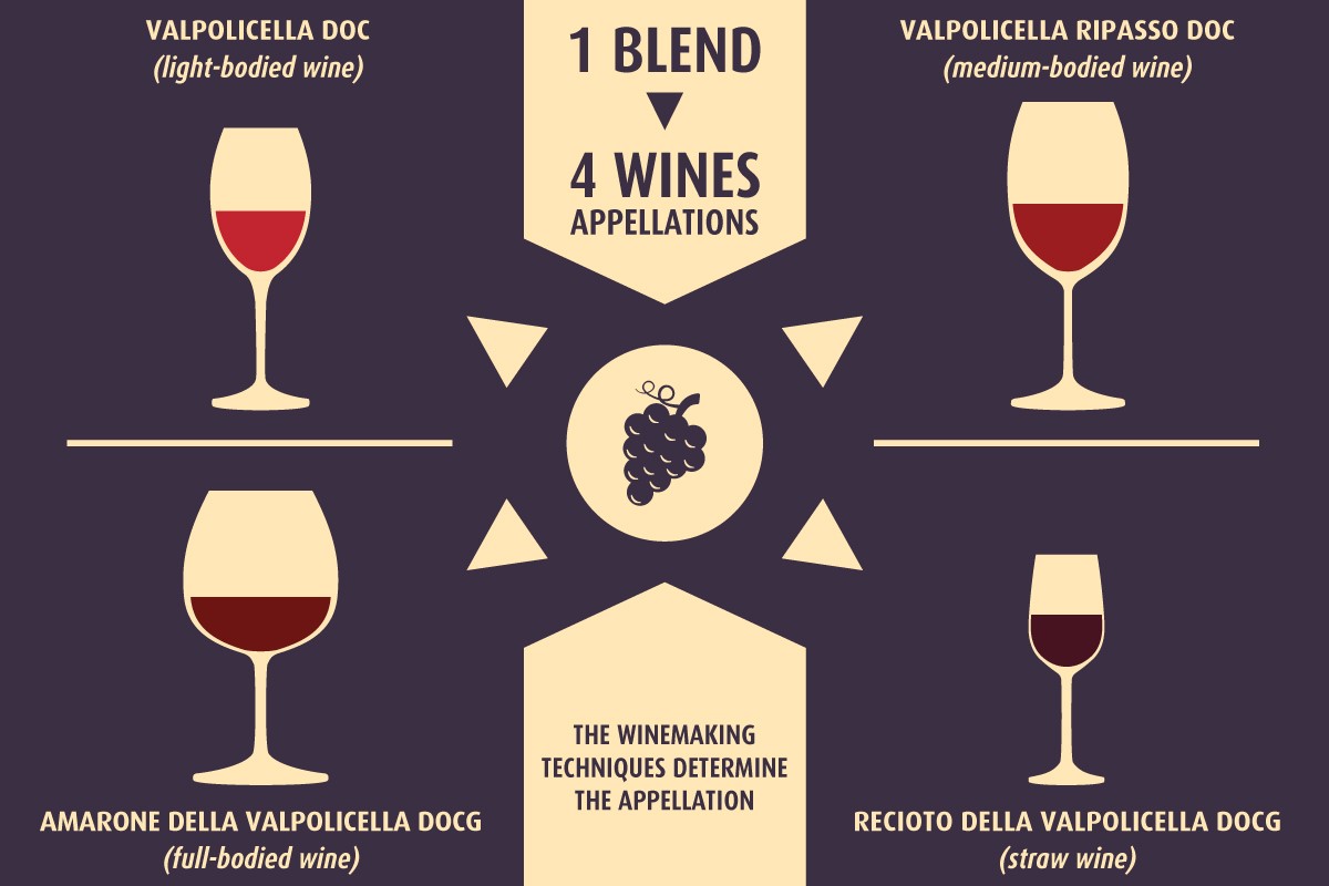 Valpolicella.jpg