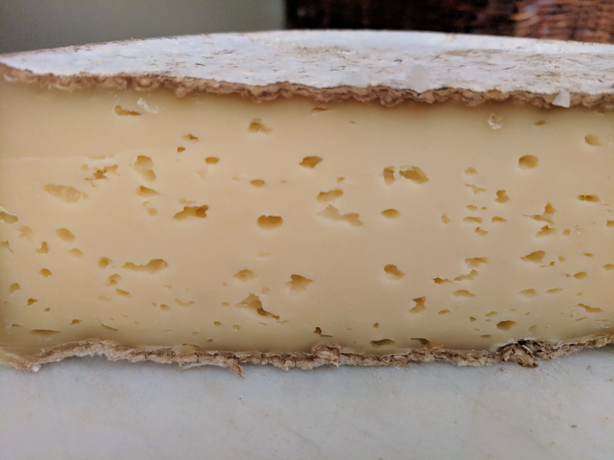 Tomme de Savoie, a delightful family of cheeses produced in the French Alps and in Switzerland, made with raw milk aged over 60 days.