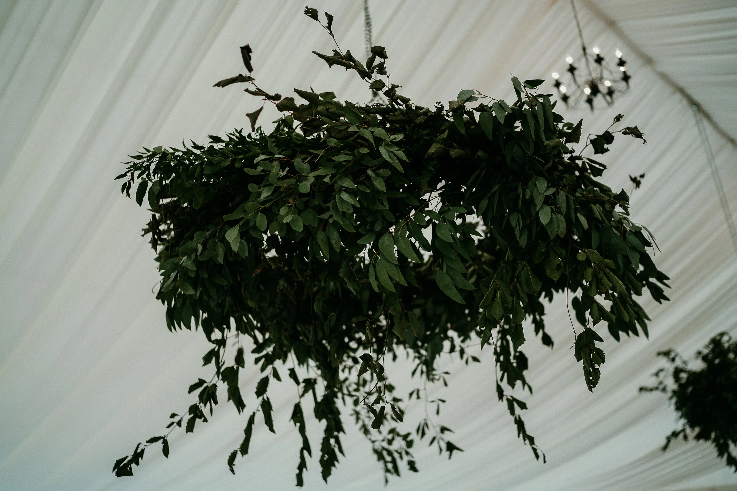 D&E Wedding 0392.JPG