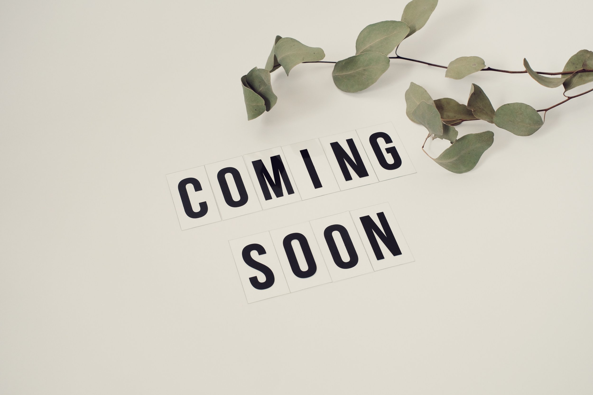 Coming Soon: English Briefcase