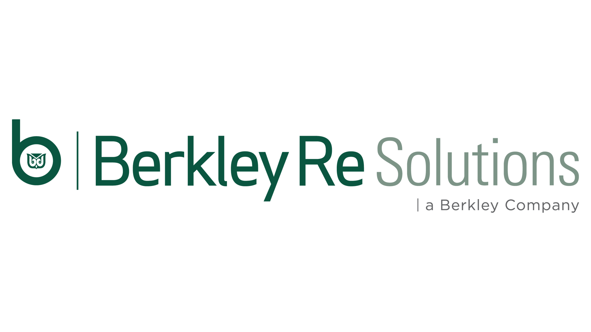 Berkley Re Solutions.png