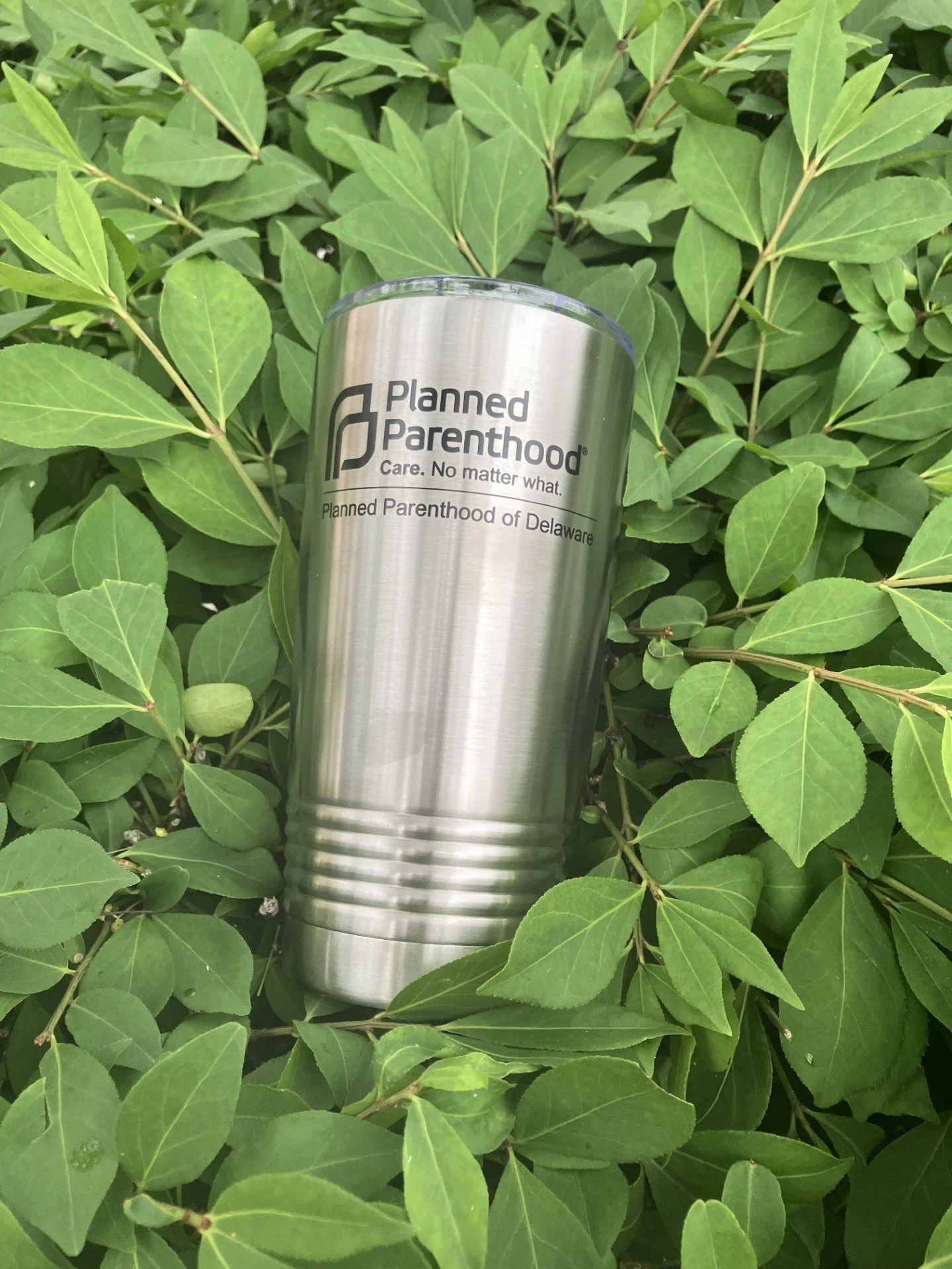 Planned Parenthood of Delaware Stainless Steel Tumbler