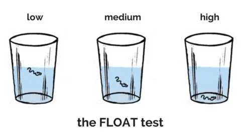 Float Test (1).jpg