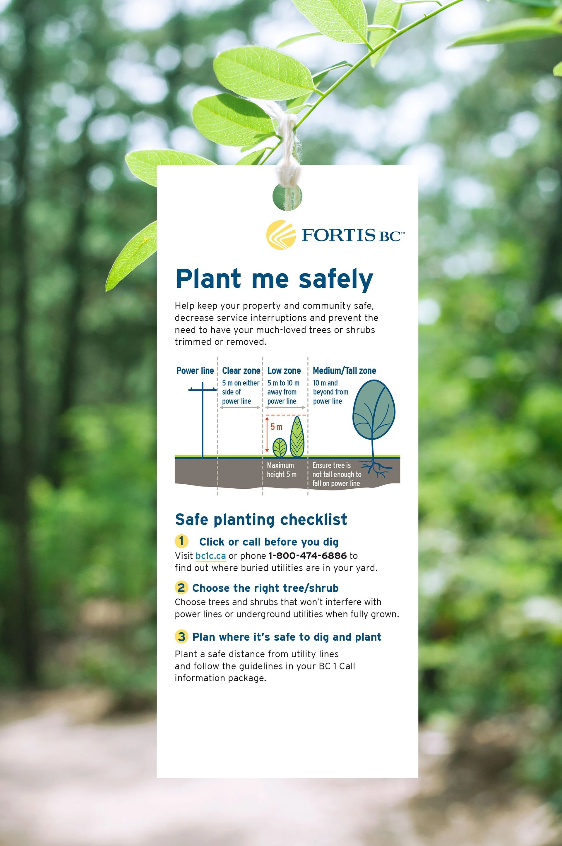 Tag for trees at nursery advising safe digging practices