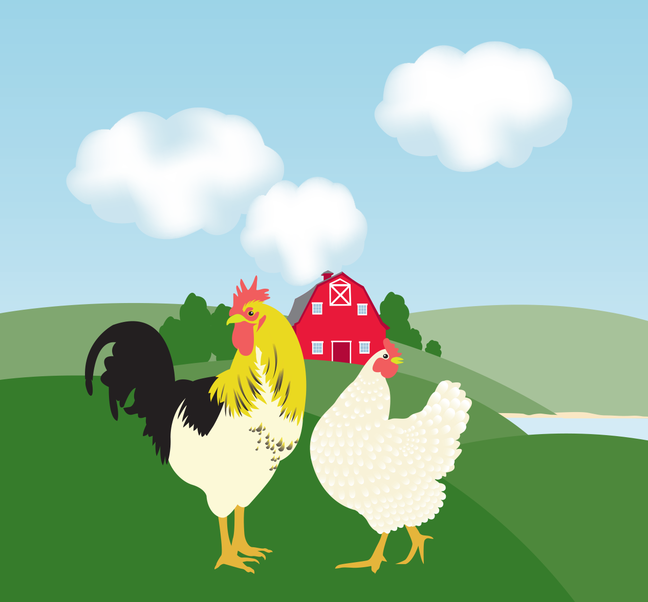 Rooster-hen.png