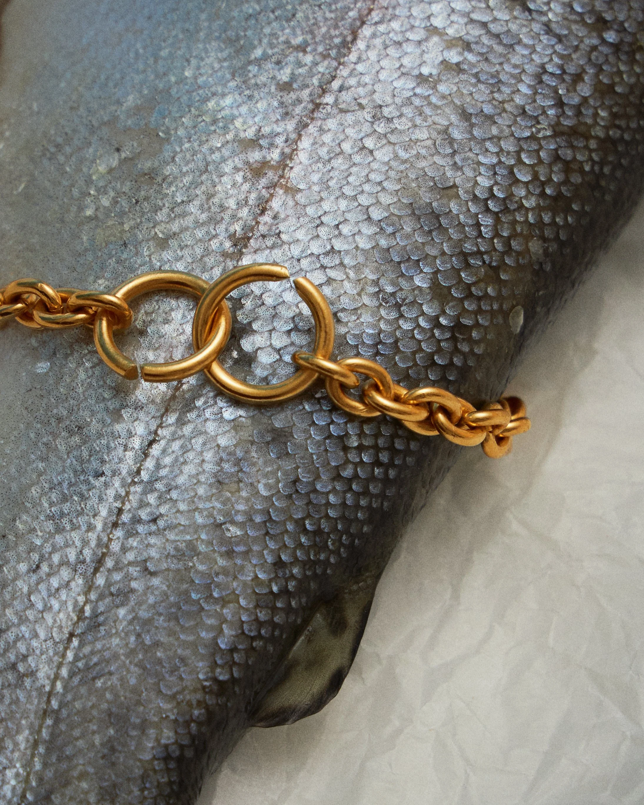24_06_Jewelery5140 1.jpg