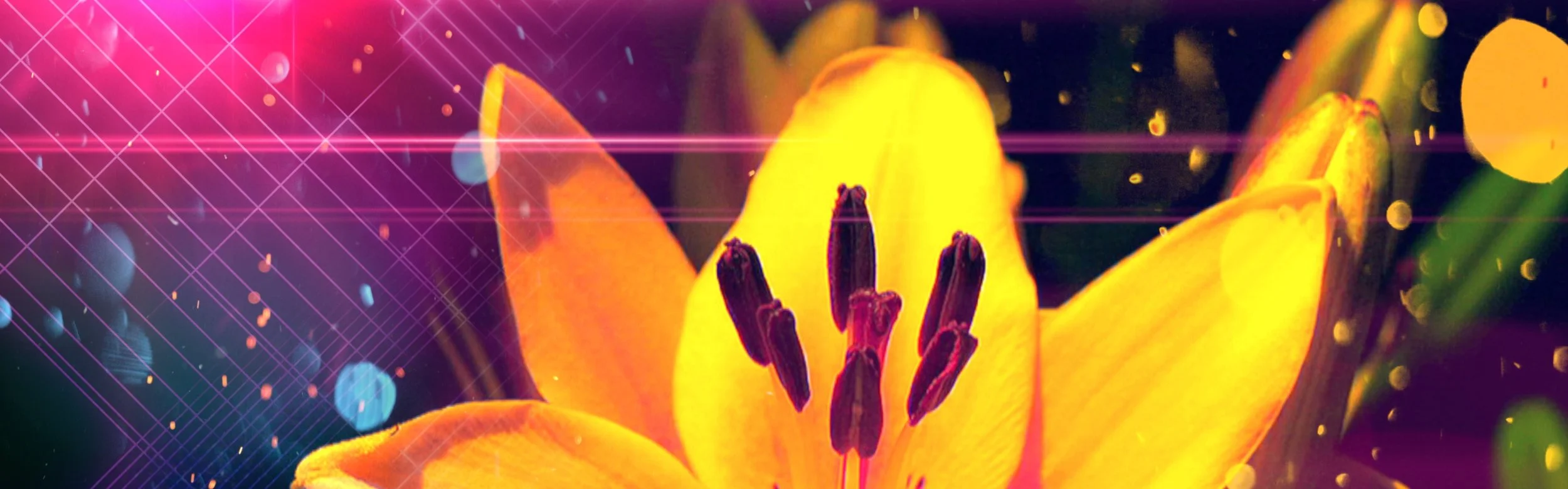 Fifth Harmony - Down - Still B.JPG