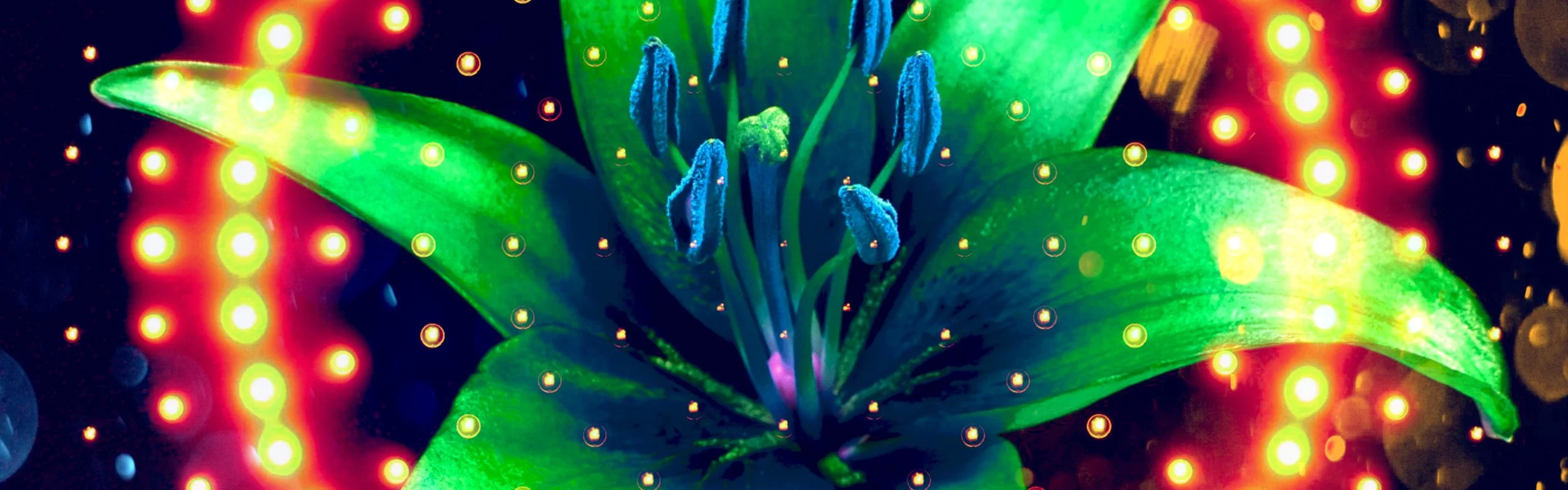 Fifth Harmony - Down - Still D.JPG