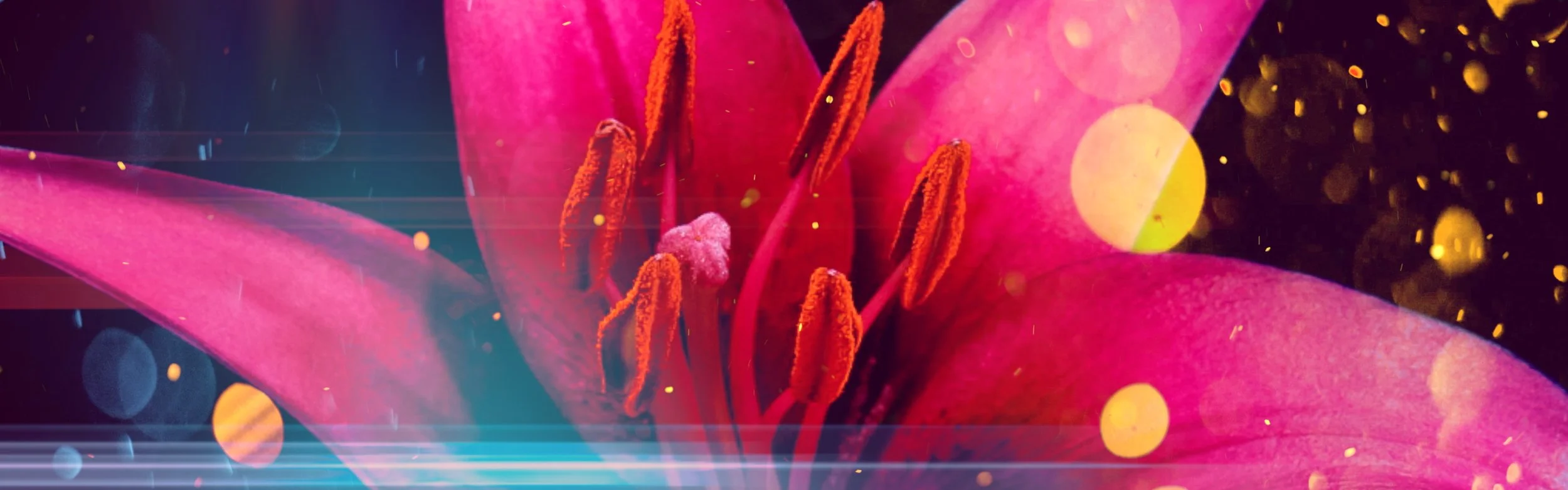 Fifth Harmony - Down - Still E.JPG