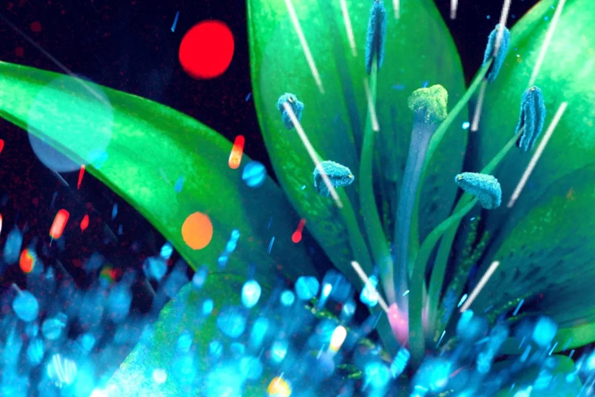 Fifth Harmony GMA Song Premiere Visuals