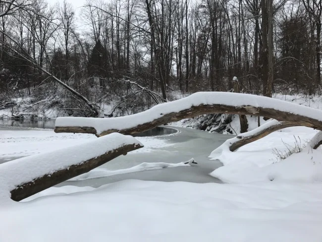 Kira Elliott New Year Easy