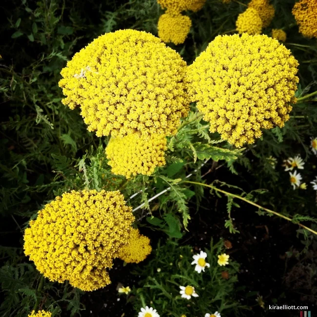 This is My New Normal