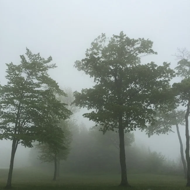 A Good Death to a Good Life