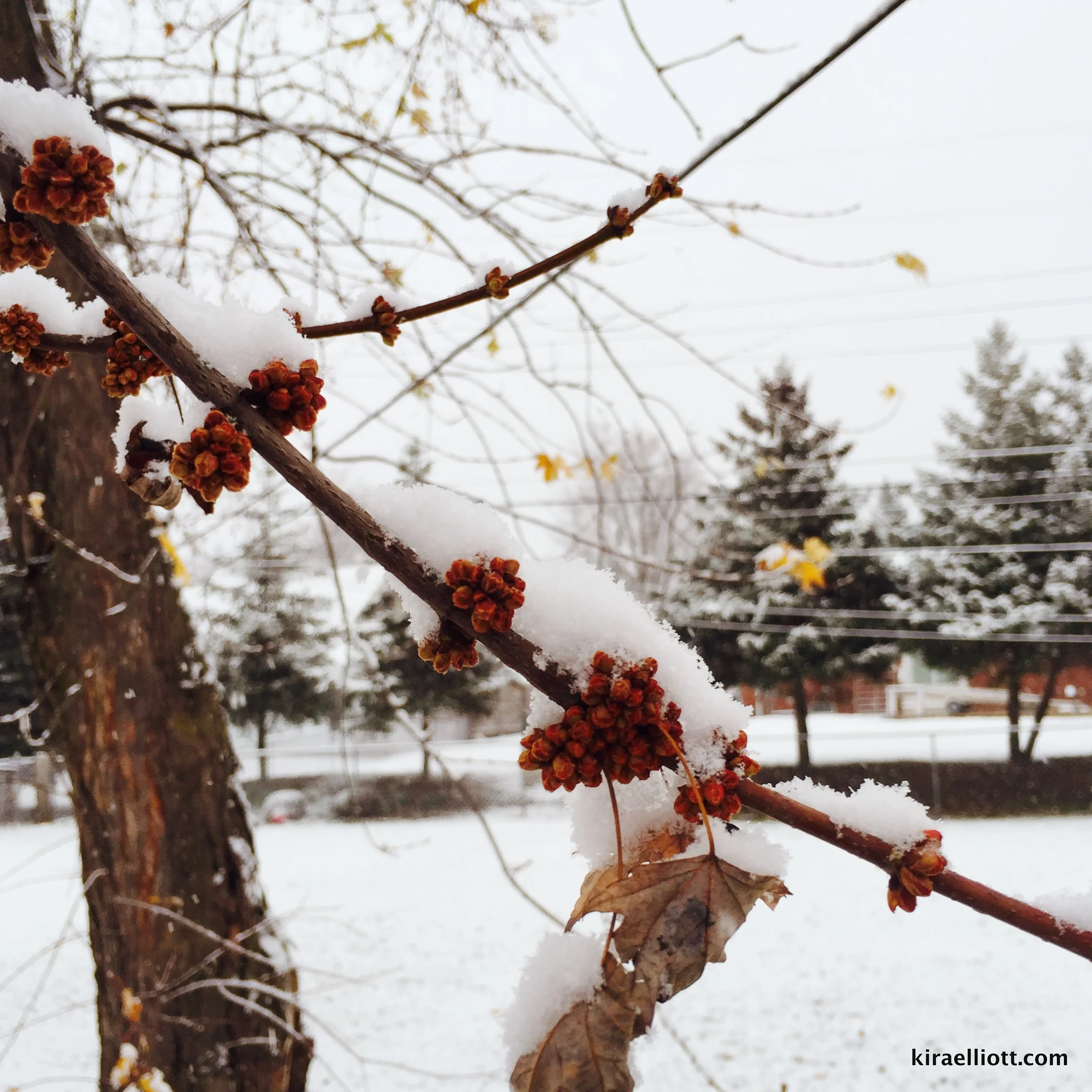 How to Lean Into the Good