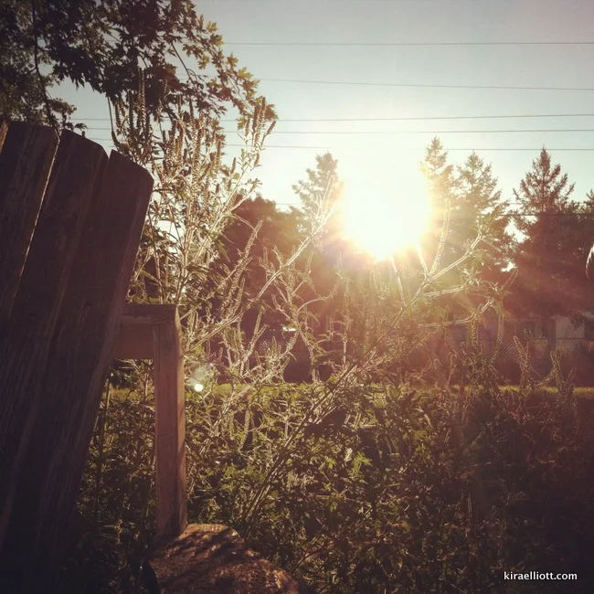 Compassion is My New Mode of Operation