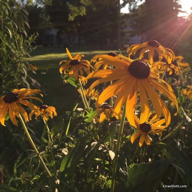 Giving Your Heart a Place to Open