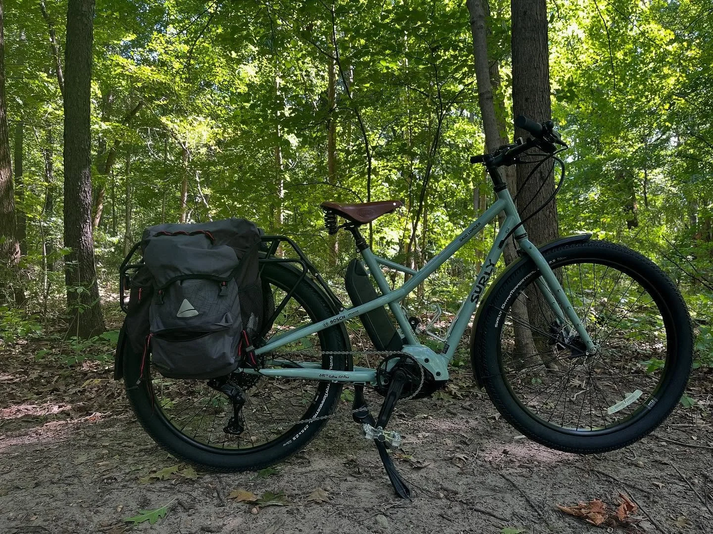 #decemberreflections2024 photo that sums up 2024 and I have to show my new bike! I finally took the plunge and got a new bike a surly skid loader and it is freaking amazing