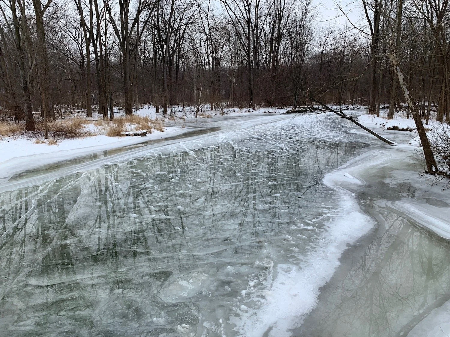 Frozen River