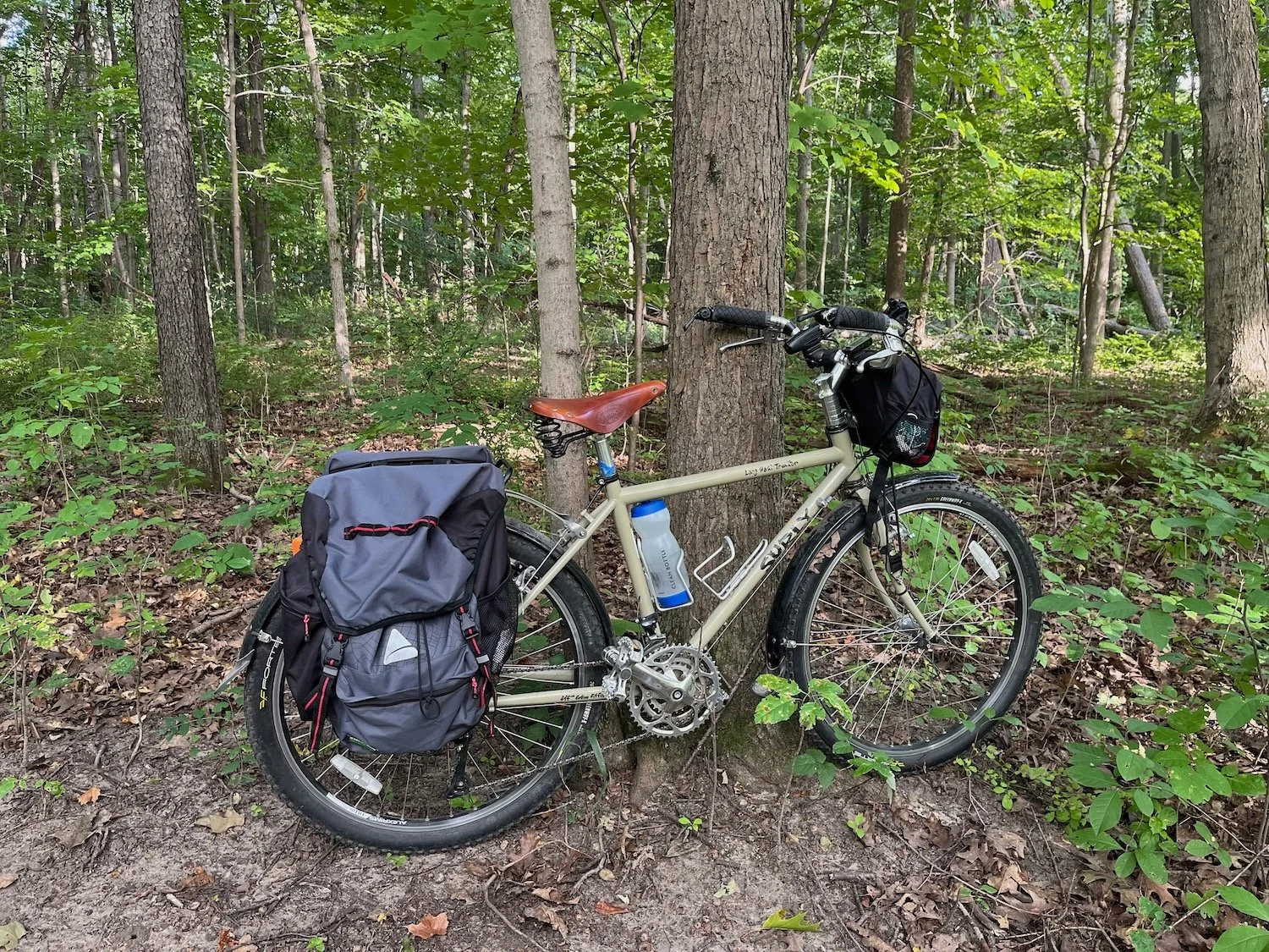 Surley Bike in the woods