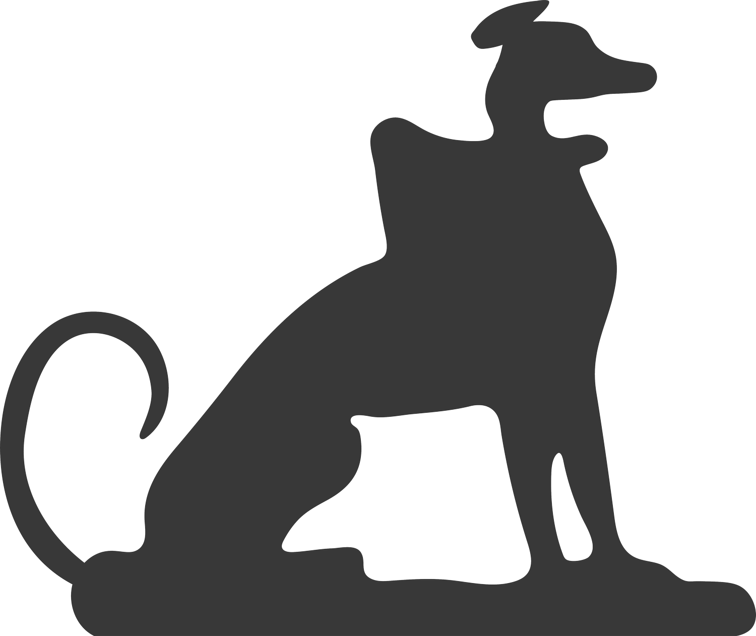 Nolan Christopher Wills