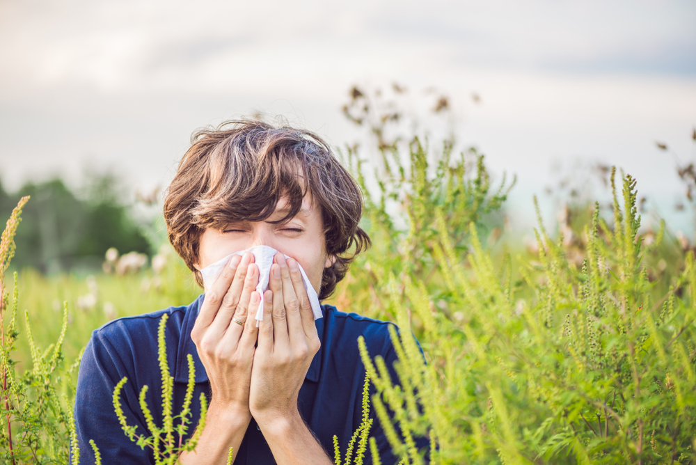 How Should You Prevent Pollen Allergies?