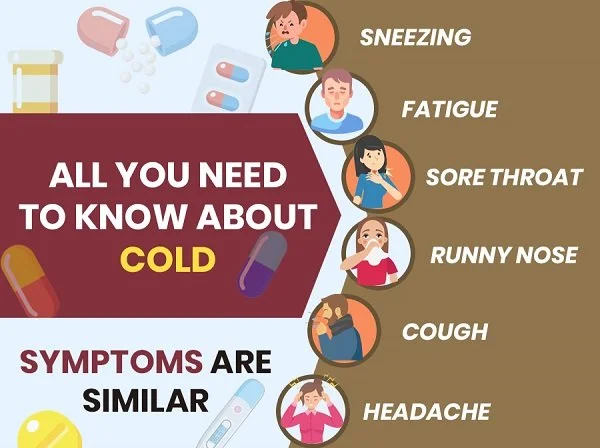 All You Need To Know About Cold
