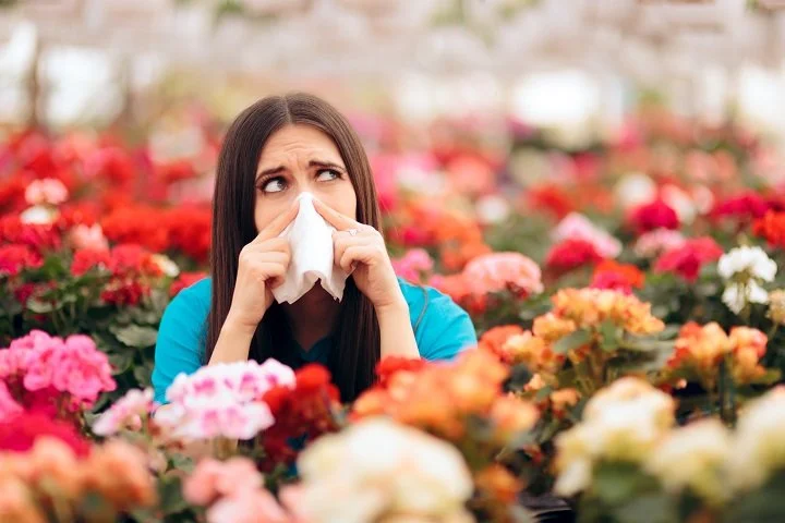Say No to Spring Allergy: 3 Amazing Tips to Enjoy Your Time!