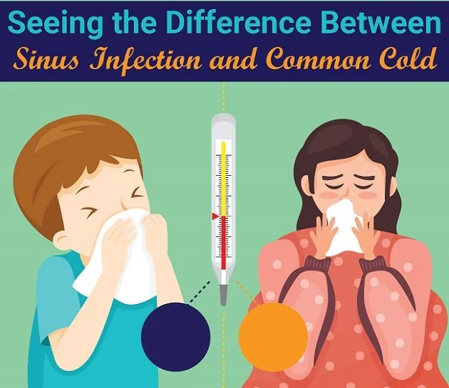 Seeing the Difference Between Sinus Infection and Common Cold