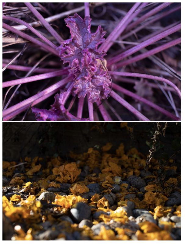 Screenshot 2026-01-13 at 3.08.01 PM.png