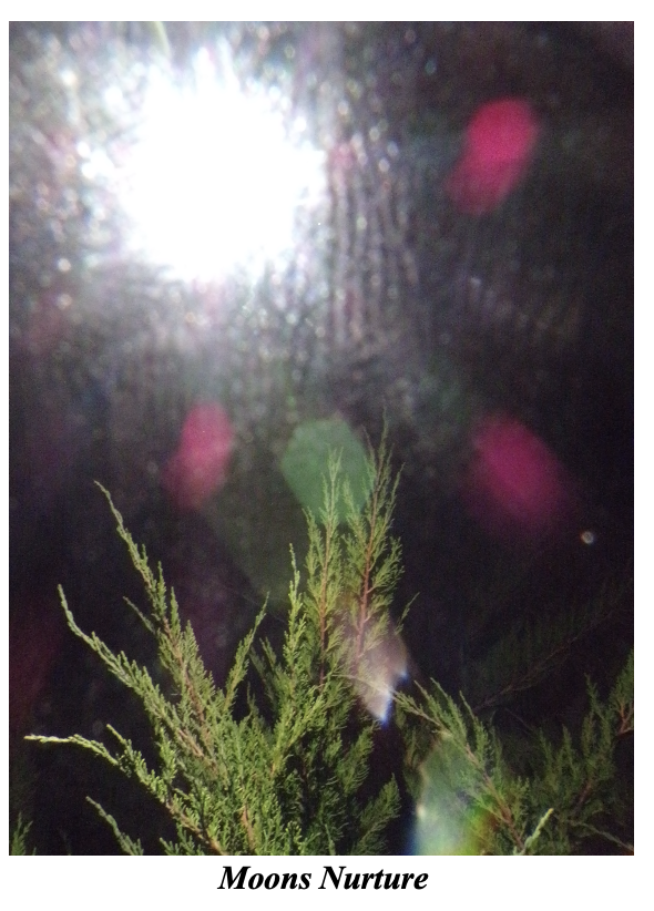 Screenshot 2026-01-13 at 3.13.57 PM.png