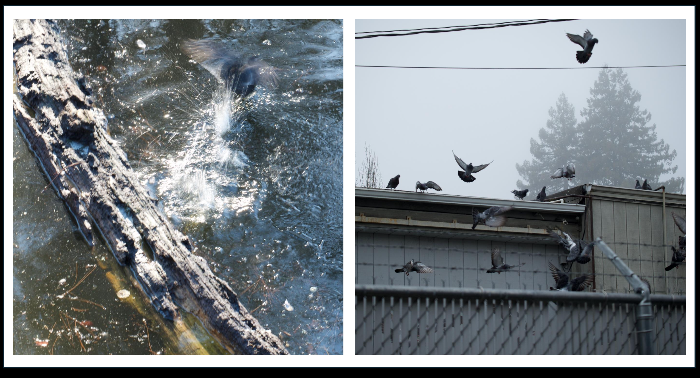 Screenshot 2026-01-13 at 3.02.50 PM.png