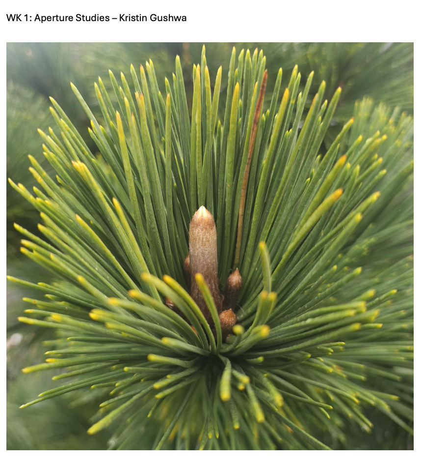 Screenshot 2026-01-13 at 3.04.39 PM.png