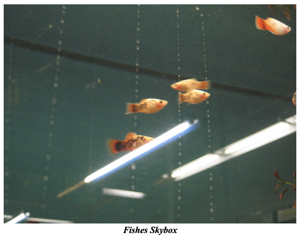 Screenshot 2026-01-13 at 3.13.49 PM.png