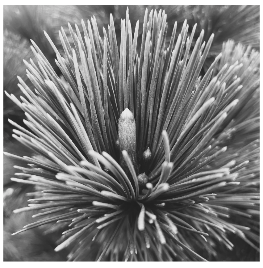 Screenshot 2026-01-13 at 3.03.30 PM.png