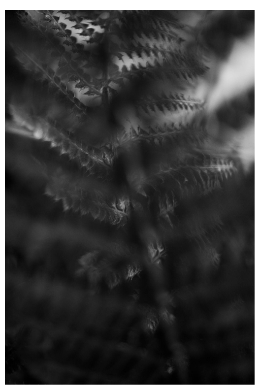 Screenshot 2026-01-13 at 3.13.13 PM.png