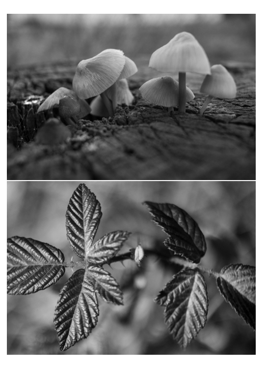 Screenshot 2026-01-13 at 3.13.27 PM.png