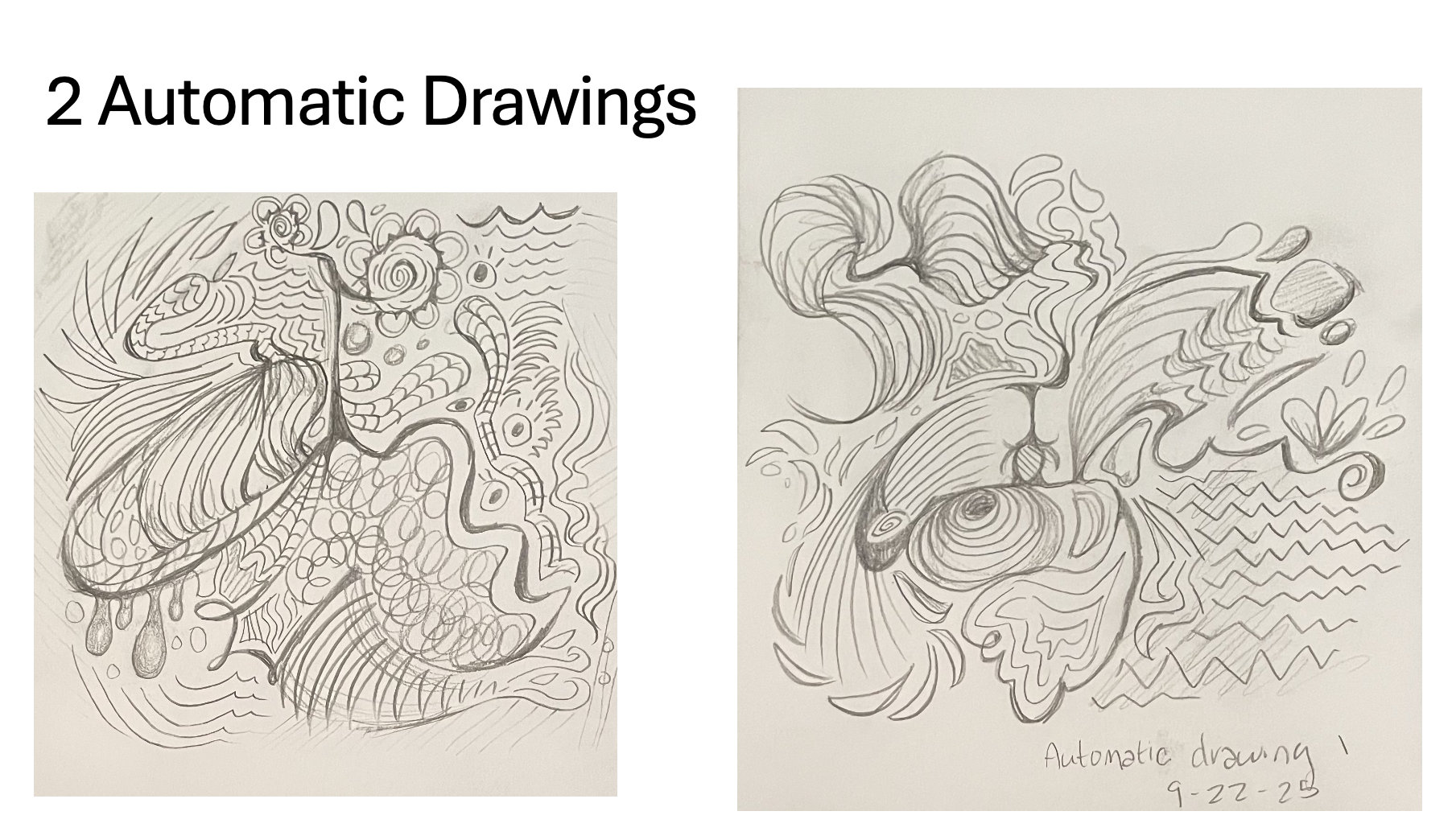 Screenshot 2026-01-13 at 2.55.21 PM.png