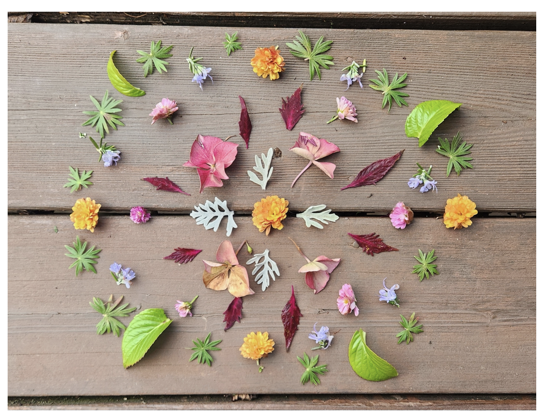 Screenshot 2026-01-13 at 2.56.24 PM.png