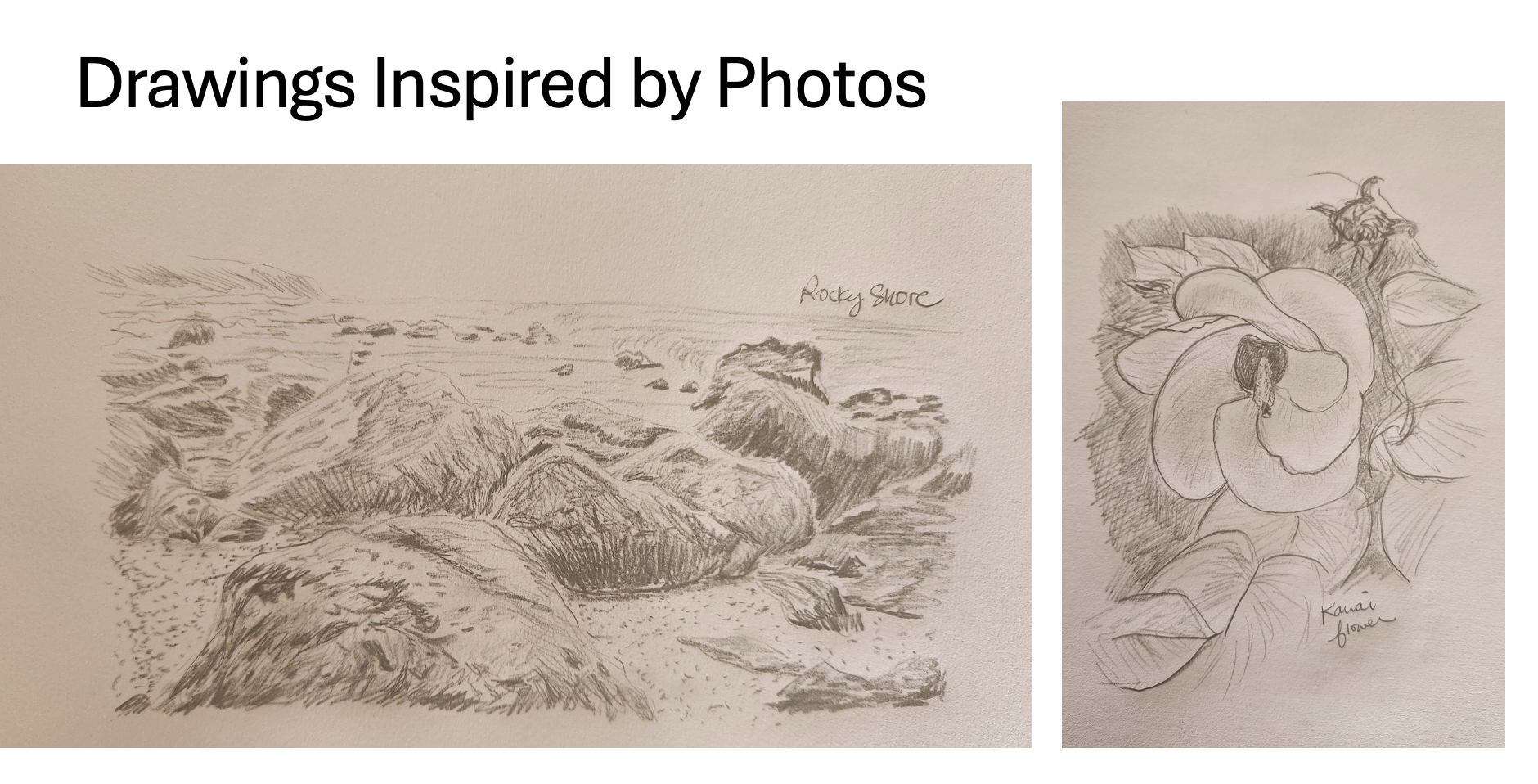 Screenshot 2026-01-13 at 2.57.56 PM.png