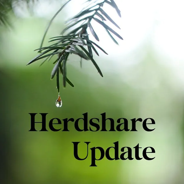 Herdshare Update; June 2023