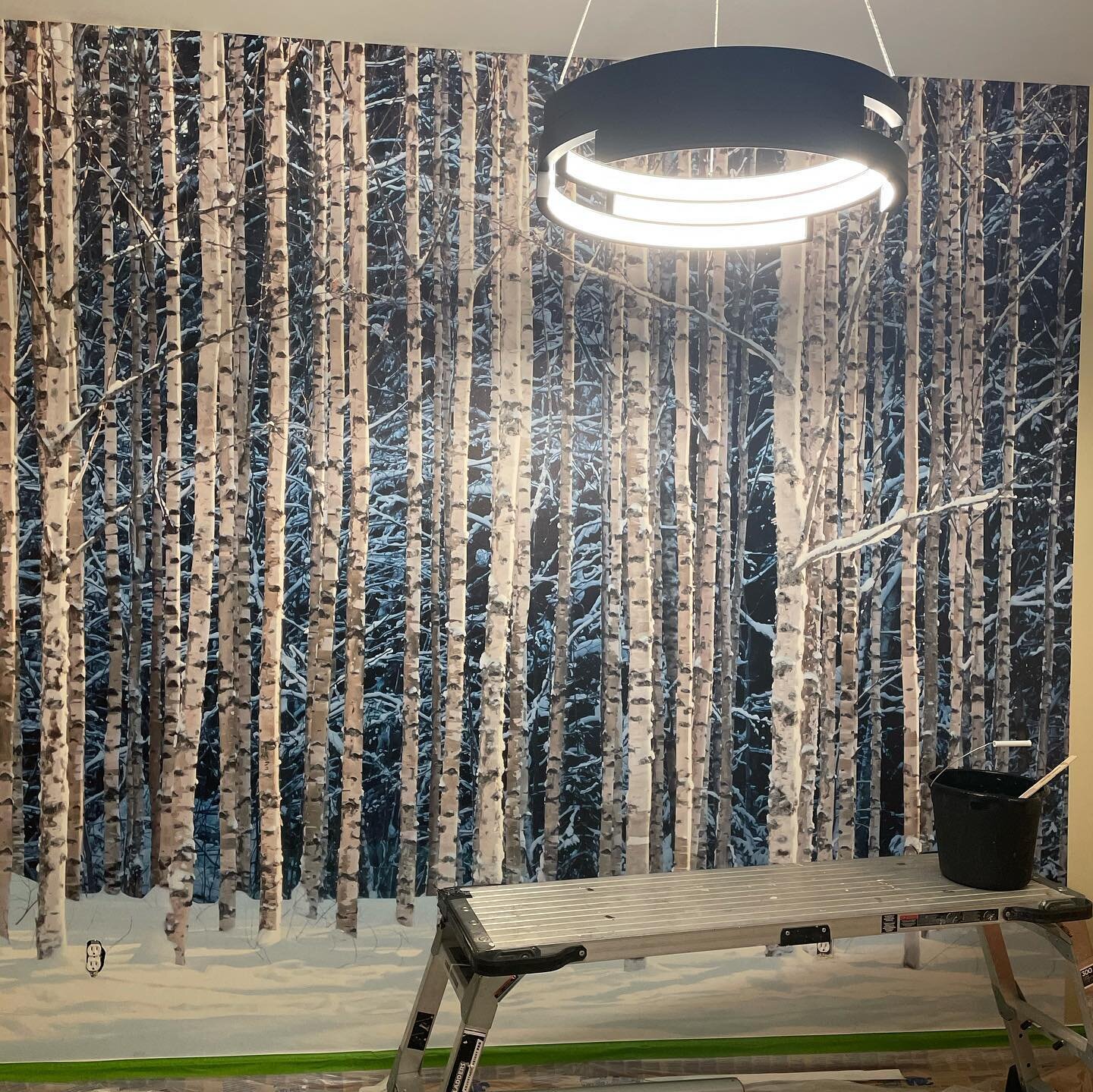 Did you know wallpaper is coming back? I was short on material but still managed to hide outlets. Fun accent wall #cloutierconstructionanddesign #accentwall #wallpaper #custom #birch #winter #buildersofinsta #keepcraftalive #livingthedream #hgtv