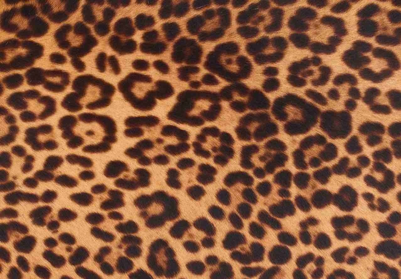  Edelman New York - Leopard Print Cow hair 