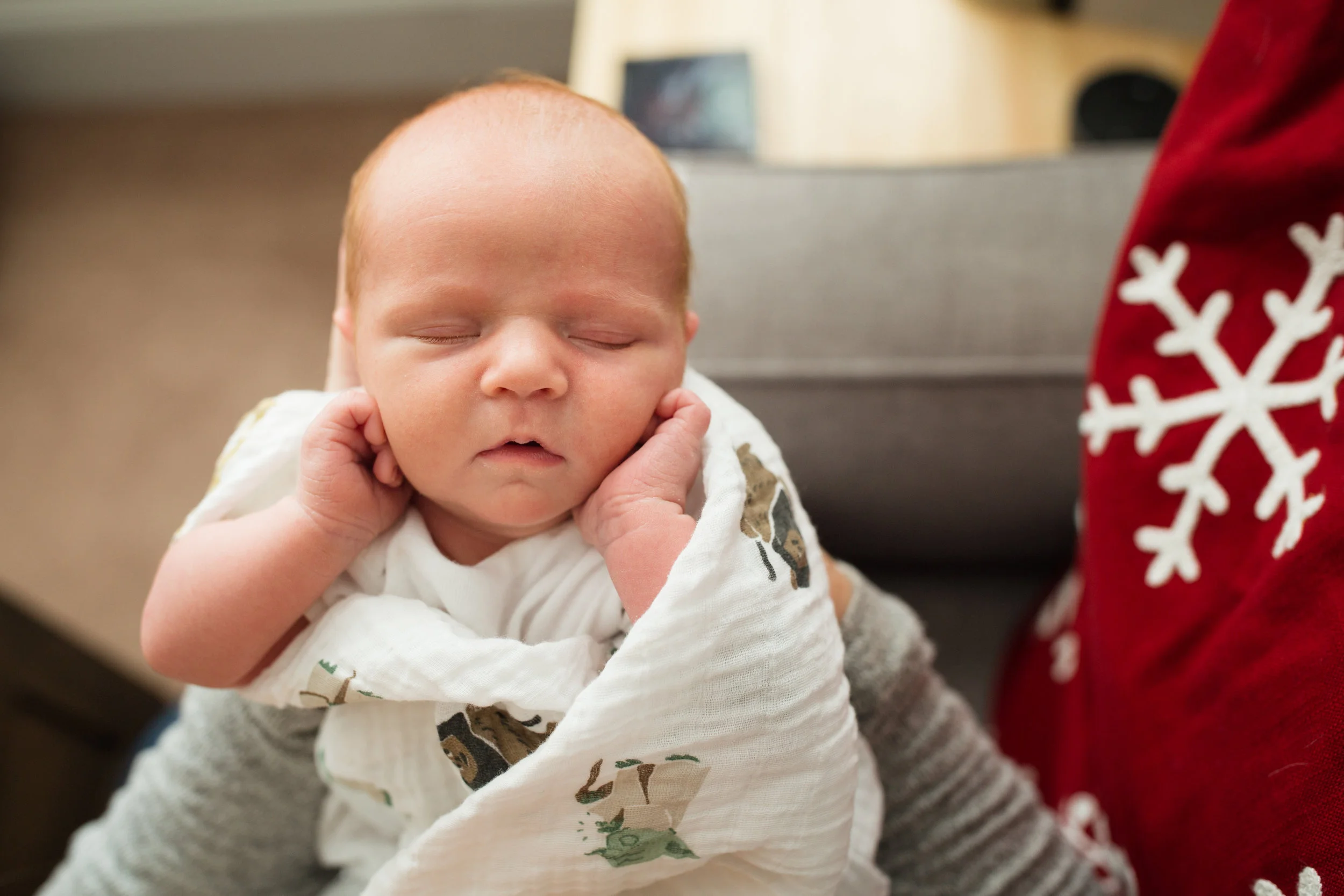 Newborn Lifestyle Photographer, Westford, Massachusetts